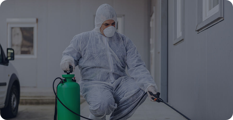 Pest Prevention Tips