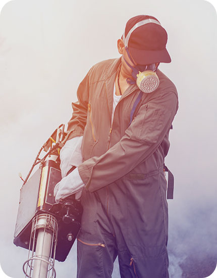 Pest Control, best pest control, organic pest control, near me pest control, home pest control, pest control near me, Exterminators Pest Control near me